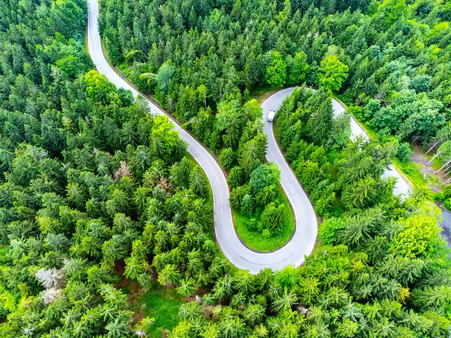 Route qui serpente entre les arbres